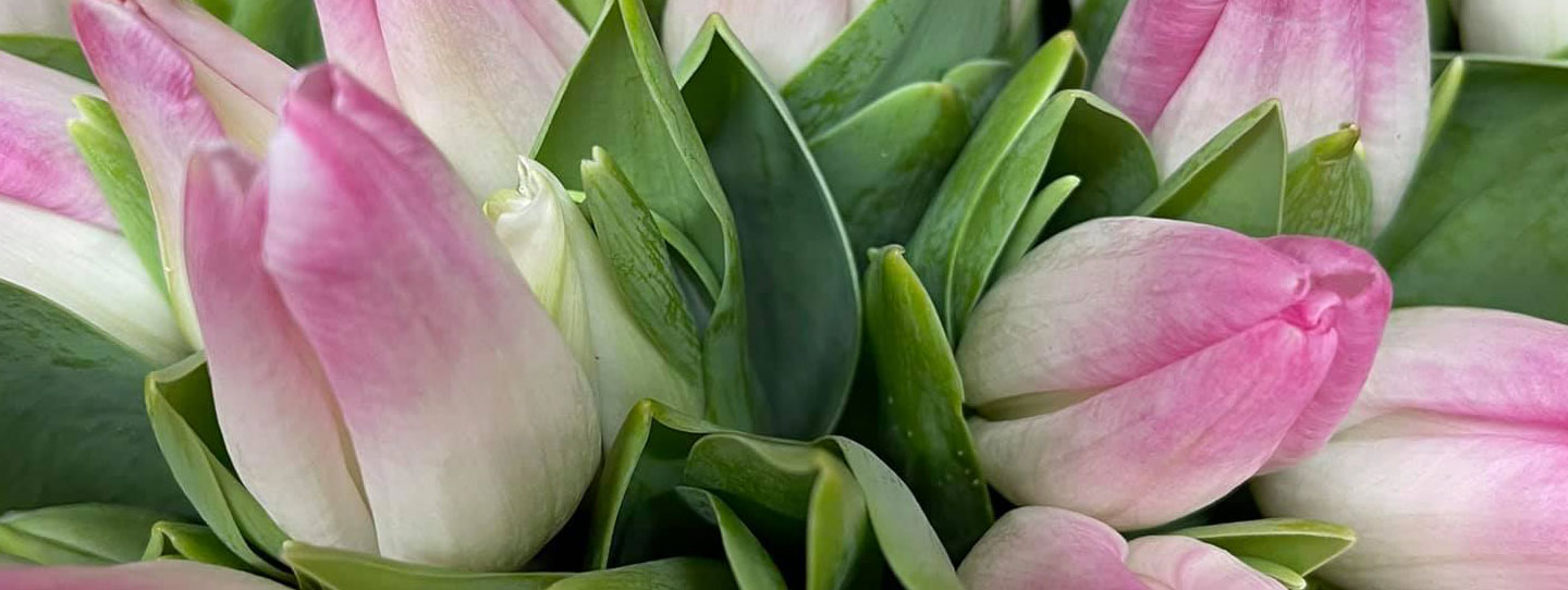 Atelier de créations et décorations florales au cœur d’Amiens